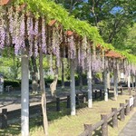 臥薪 - うわー迫力～