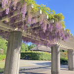 臥薪 - 木が結構ふるい