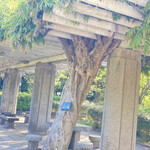 臥薪 - ねじねじ