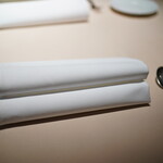 Fogliolina della Porta Fortuna