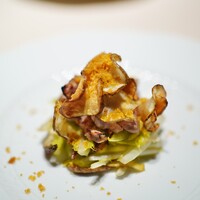 フォリオリーナ・デッラ・ポルタ・フォルトゥーナ - 