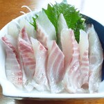 おおはま亭 - 料理写真:いさきのお刺身　超新鮮でボリューム満点！