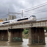 パリーネ - キティちゃん仕様　　阪和線