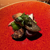 インカメラ コン テラッツァ - 