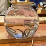 天婦羅 みやしろ - 