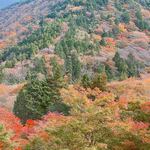 バーホテル 箱根香山 - 