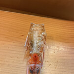 寿司割烹 もり - 