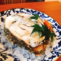 旬菜こかぶ亭 - 