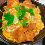 Gohan Dokoro Katsu An - 