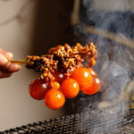 SaCURA - メイン写真: