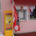 paku paku - 