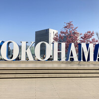 蕎麦 蘇枋 - ニュウマンの有名なオブジェ