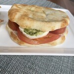 tomato and mozzarella panini