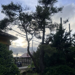 新京苑 - 夫婦松