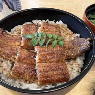 大井川のうなぎ 秀丸_0