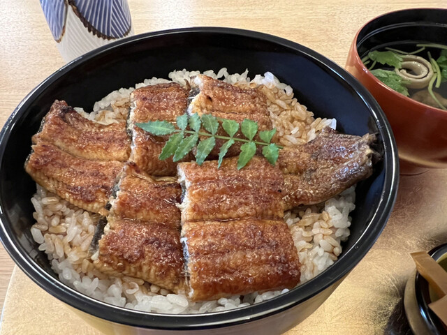 Ooikawa no Unagi Hidemaru photo