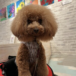 サッカバッカ - 大分慣れてきました。