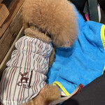 THE NUTS EXCHANGE - キャンディに夢中になっているシェリ♪