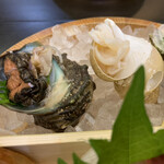 Hagoromosou - サザエの刺身、白バイ貝