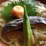 手打ち蕎麦とフレンチの やな木 - 2013.8.22(木)12時 月替わり 更科冷やしかけそば850円(^_^)