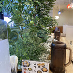 Yamashita Honki Udon - 店内は綺麗な観葉植物始め、内装はゆったり感あり