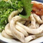 Udon Sanku - 全粉粉麺、香味麦芽入り。