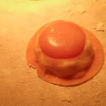 TATSUMI - ラヴィオローネの生地