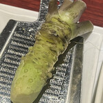 Wasabi - 