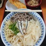 手打麺や 大島 - うどん・日本そば・中華そば・きしめん(各１玉)と、肉皿、げそ天