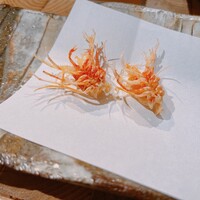 天ぷら浅沼 - 