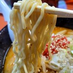 Shunkatou - 麺アップ