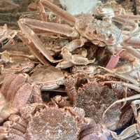 かに道楽 横浜店 - 