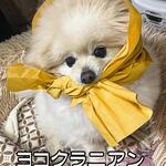 ヨコクラうどん - 