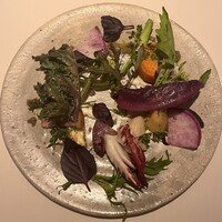 タワシタ - 