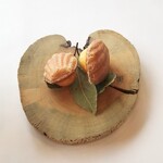 MAISON LAFITE - 焼き立てマドレーヌ