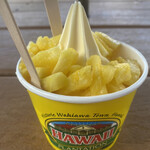 Dole Plantation - 