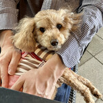 エムエム タイ - 