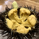 すし酒場 魚あるき - 「から付ウニのつまみ（税込￥1,100）」
