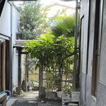 ヨコクラうどん - 