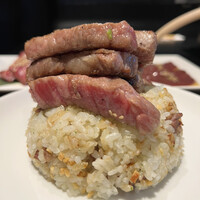老舗精肉店直送 千種焼肉 飛騨牛の奴隷 千種店 - 