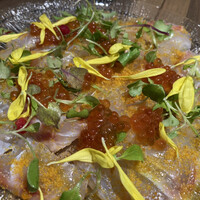 ダルマット 六本木ヒルズ店 - 