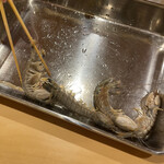 鮨 やすみつ - シャコ