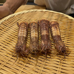 鮨 やすみつ - シャコ