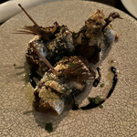 パーラーイワシ - 