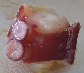 Tako Ichi Makinohonten photo 4