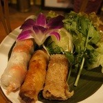 生春巻きと春巻き2種