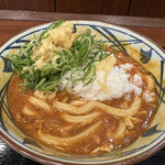 Marugame Seimen - 中盤に、ご飯も薬味もon