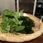 麺道はなもこし - 