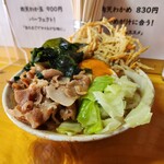 Yamanashi Koufu Udon Pin - 角度を変えて。