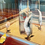 和　ともり - 仁淀ブルーのあめご
                                今からじっくり焼いてくれます☆